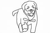 Rottweiler Puppy Fc09 sketch template