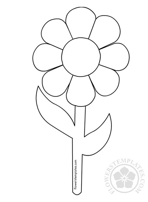 daisy  stem coloring page flowers templates