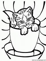Kitten Birthdayprintable sketch template