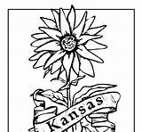 Flower Kansas sketch template