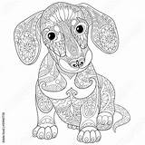 Coloring Dachshund Dog Pages Mandala Puppy Zentangle Ausmalbilder Hunde Hard Mandalas Colouring Puppies Stylized Sketch Drawing Freehand Ausmalen Goldendoodle Erwachsene sketch template