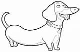 Dachshund Buddy Bestcoloringpagesforkids Teckel Colouring sketch template