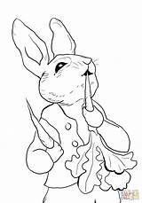 Rabbit Peter Coloring Pages Printable Colouring Eating Cottontail Radishes Print Potter Beatrix Colour Color Printables Bunny Jessica Tale Crafts Nick sketch template