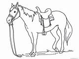 Bridle sketch template
