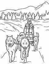Coloring Dog Sled Pages Dogs Choose Board Winter Sheets sketch template