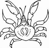 Crab Coloring Printable Pages Crabs Book Kids Children Hard Bestcoloringpagesforkids Adult Print Crustacean Drawing Coloringbay Choose Board Sheets sketch template