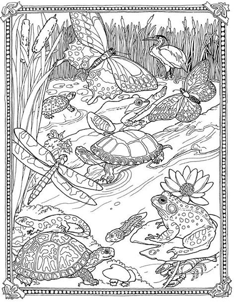 biology coloring pages coloring home