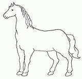 Colorare Cavallo Disegni Disegnare Cavalli Animali Semplice Bello Bambini Dei Colorate sketch template