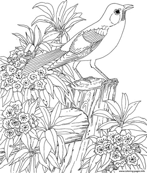 beautiful bird  flower coloring page printable