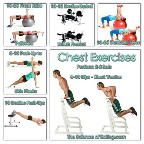 pin  lynn schultz  exercises chest workouts  chest workout