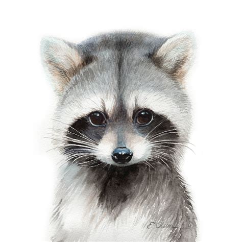 watercolor raccoon raccoon art print baby raccoon nursery etsy