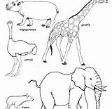 Coloring Animals Savanna African Pages Color Printable Grassland Getdrawings Getcolorings Colorings sketch template