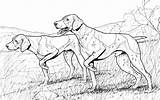 Cani Colorare Stilizzati Caccia sketch template