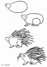 Porcupine Coloring Pages Drawing Bestcoloringpagesforkids Draw Sheet Kids Drawings Animal Easy sketch template
