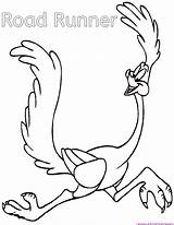 Road Roadrunner Coyote Wile Designlooter Coloringonly Coloringhome sketch template