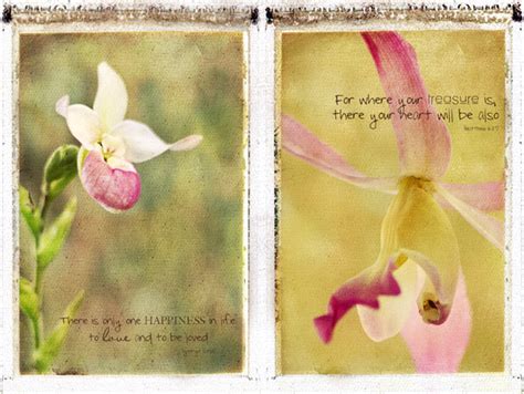 Quotes About Orchids Quotesgram