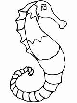 Coloring Animals Sea Pages Kids Seahorse Ocean Popular sketch template