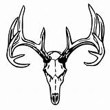 Deer Clipart Skull Drawings Skulls Cliparts Library sketch template
