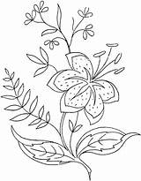 Coloring Flowers Pages Flower Printable Adult Embroidery Hand Adults Book Designs Sheets Patterns Colorpagesformom Color Template Colouring Lily Coupons Fleur sketch template