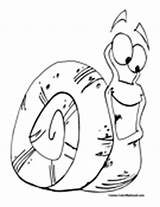 Snail Coloring Pages Colormegood Animals sketch template