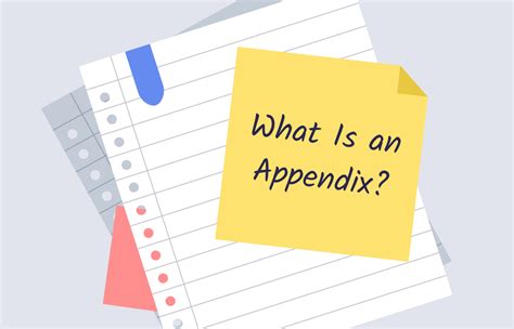 appendix structure format examples essaypro