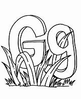Grass Letter Coloring Pages Color Grasshopper Perch Getcolorings Print sketch template