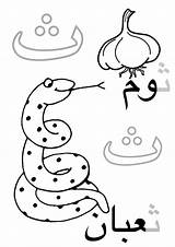Arabic Coloring Pages Getcolorings Kids Alphabet Printable sketch template