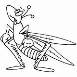 Grasshopper Insects Saltamontes Grasshoppers Clipartmag Ausmalbilder Mantis Preschoolcrafts sketch template