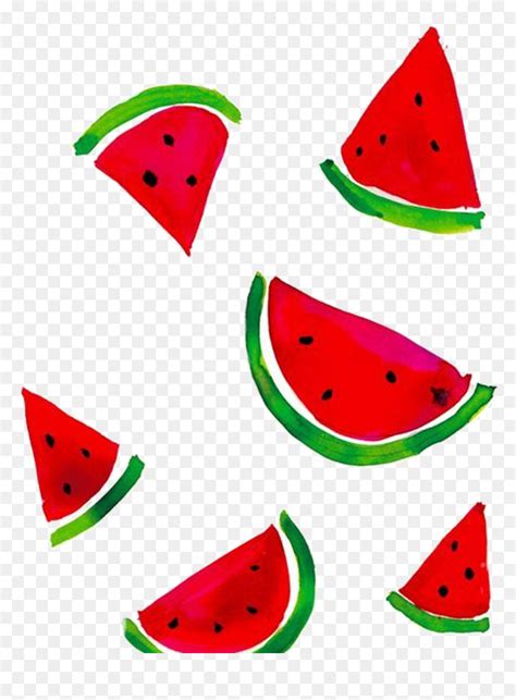 simple drawing   watermelon img figtree