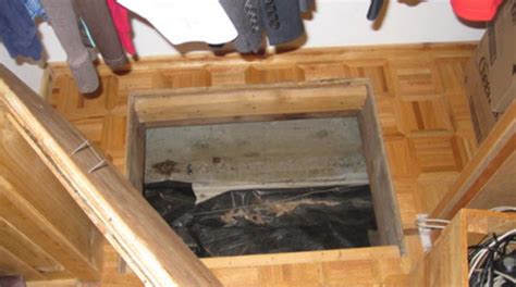 couple notices trapdoor    home opens   find
