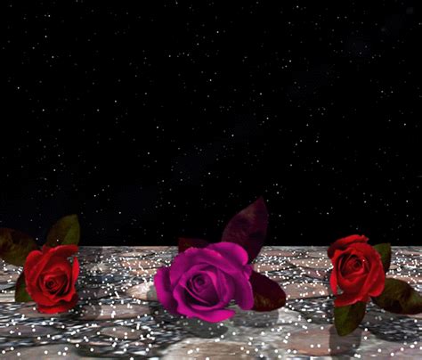 decent image scraps animated roses