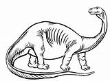 Brontosauro Stampare Dinosauro Nostrofiglio Dinosauri Bambino Bimbi Belli Vitalcom sketch template