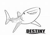 Dory Nemo Shark Destiny sketch template