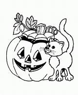 Coloring Pumpkin Spookley Pages Square Popular sketch template