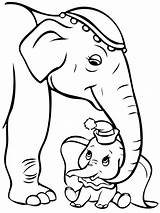 Dumbo Colorare Elefante Disegni Bambini sketch template