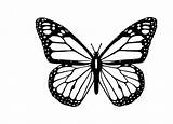 Butterfly Pixabay Tattoo Clip Drawing Coloring Tattoos Sexual Harassment Monarch Outline Papillon Small Pages Cartoon Silhouette Choose Board Tsgos sketch template