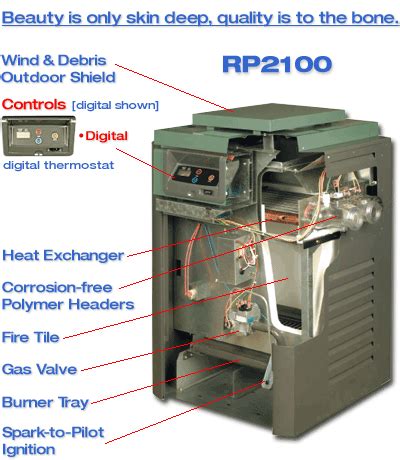 raypak  pool heater wiring diagram wiring diagram