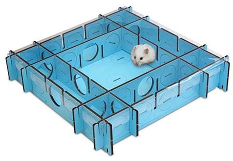 hamster maze keeping  hamster  kids entertained