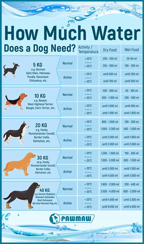 puppies tips dogs  puppies pet dogs doggies dog health tips dog health care puppy care