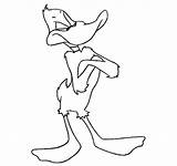 Daffy Duck Coloring Pages Slithery Netart sketch template