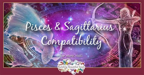 sagittarius and pisces compatibility friendship sex and love