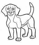 Beagle Coloring Pages Dog Kids sketch template