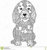 Coloring Adult Mandala Puppy Cat Dog Pages Wecoloringpage Simple Animal sketch template