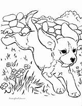 Coloring Pages Printable Dog Dogs Animal Puppies Kids Print Printing Colouring Puppy Help sketch template