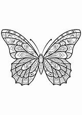 Butterfly Butterflies Colorear sketch template
