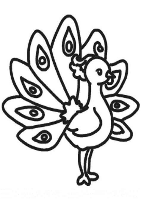 peacock coloring pages drawings