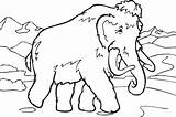 Mammoth تلوين صوره Printable Colouring I2clipart sketch template