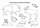 North American Animal Cut Outs Sparklebox sketch template