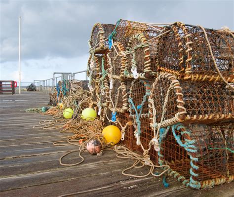 photo lobster pots aged seafood netting   jooinn