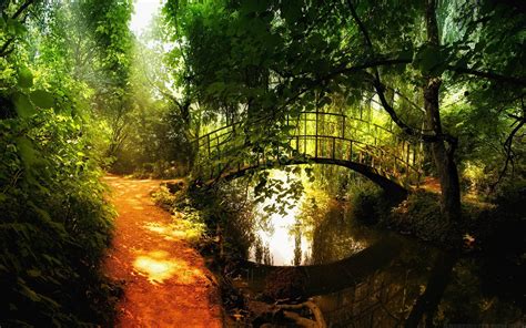 nature landscape bridge path trees river plants wallpapers hd desktop  mobile backgrounds